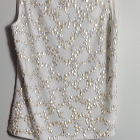 ST.JOHN Evening Ivory With Silver and Cream  Elegant Sleeveless Top Size 8 - Picture 5 of 16